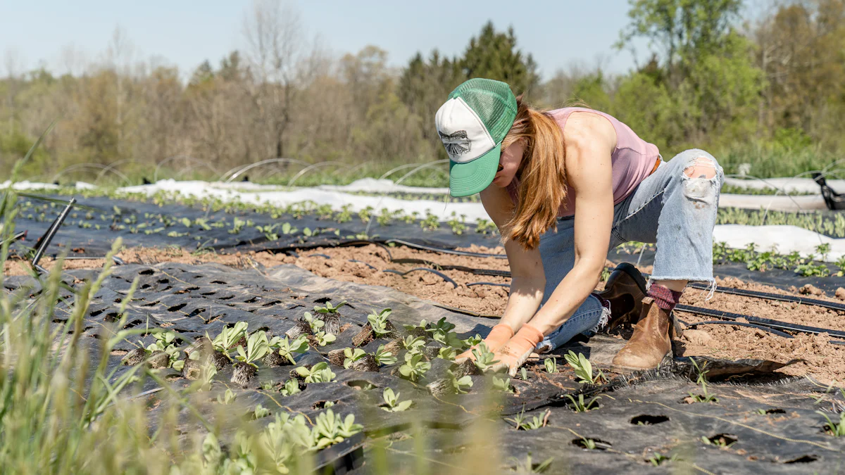 Environmental and Ethical Considerations